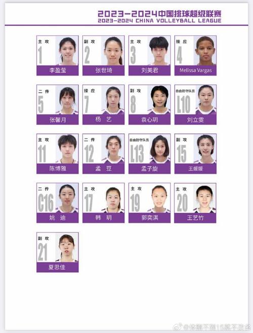 中国女排球队员名单，中国女排球队员组成名单？