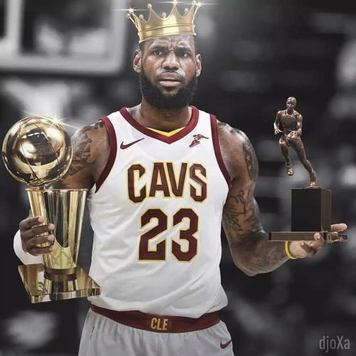 詹姆斯骑士夺冠数据，詹姆斯 骑士 夺冠？